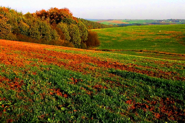 Der nächste Herbst kommt bestimmt 03