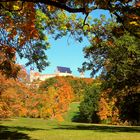 Der nächste Herbst kommt bestimmt