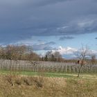 Der nächste Regenschauer zieht auf