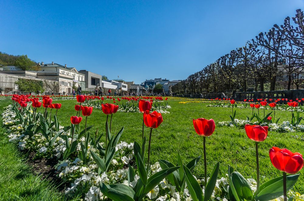 "Der nächste Sommer kommt bestimmt"