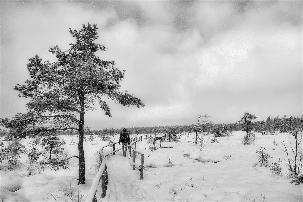 der nächste WINTER....