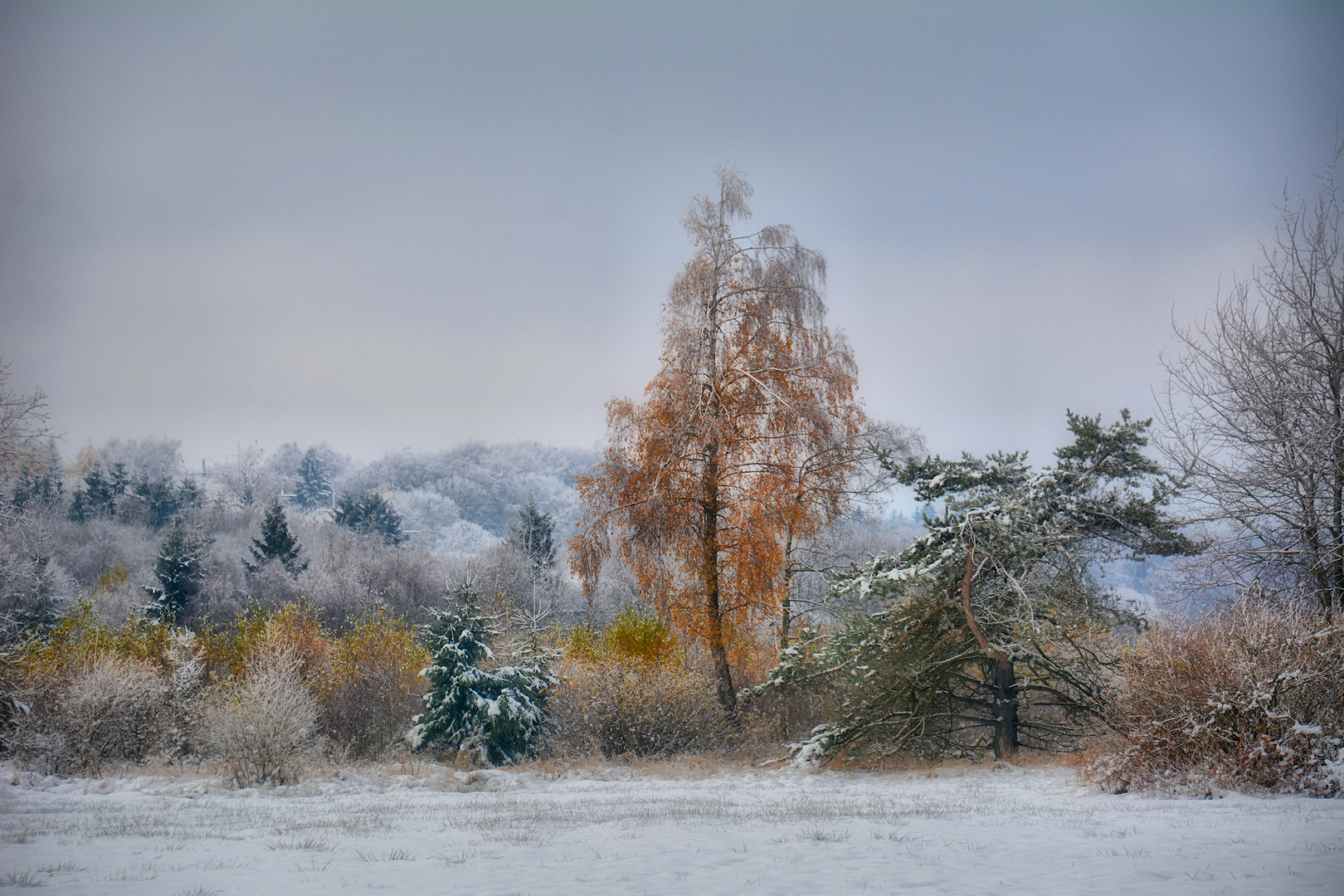 der nächste Winter...