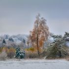 der nächste Winter...