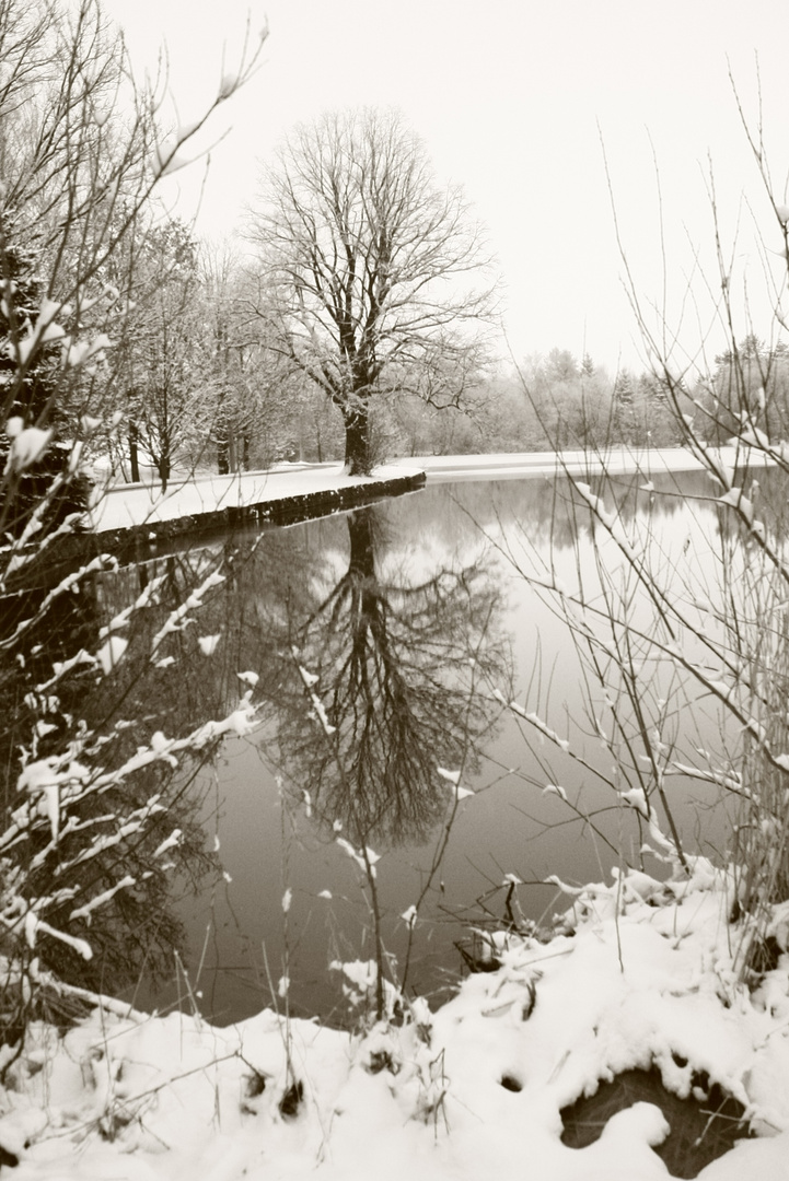 Der nächste Winter kommt bestimmt!