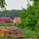 Der nächste Winter kommt bestimmt