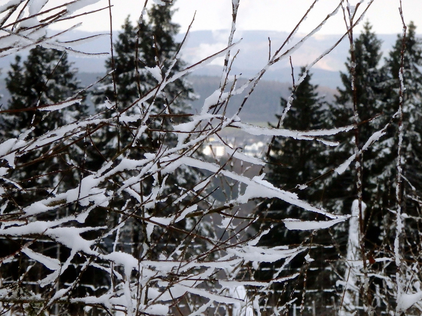 der nächste Winter kommt bestimmt