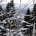 der nächste Winter kommt bestimmt