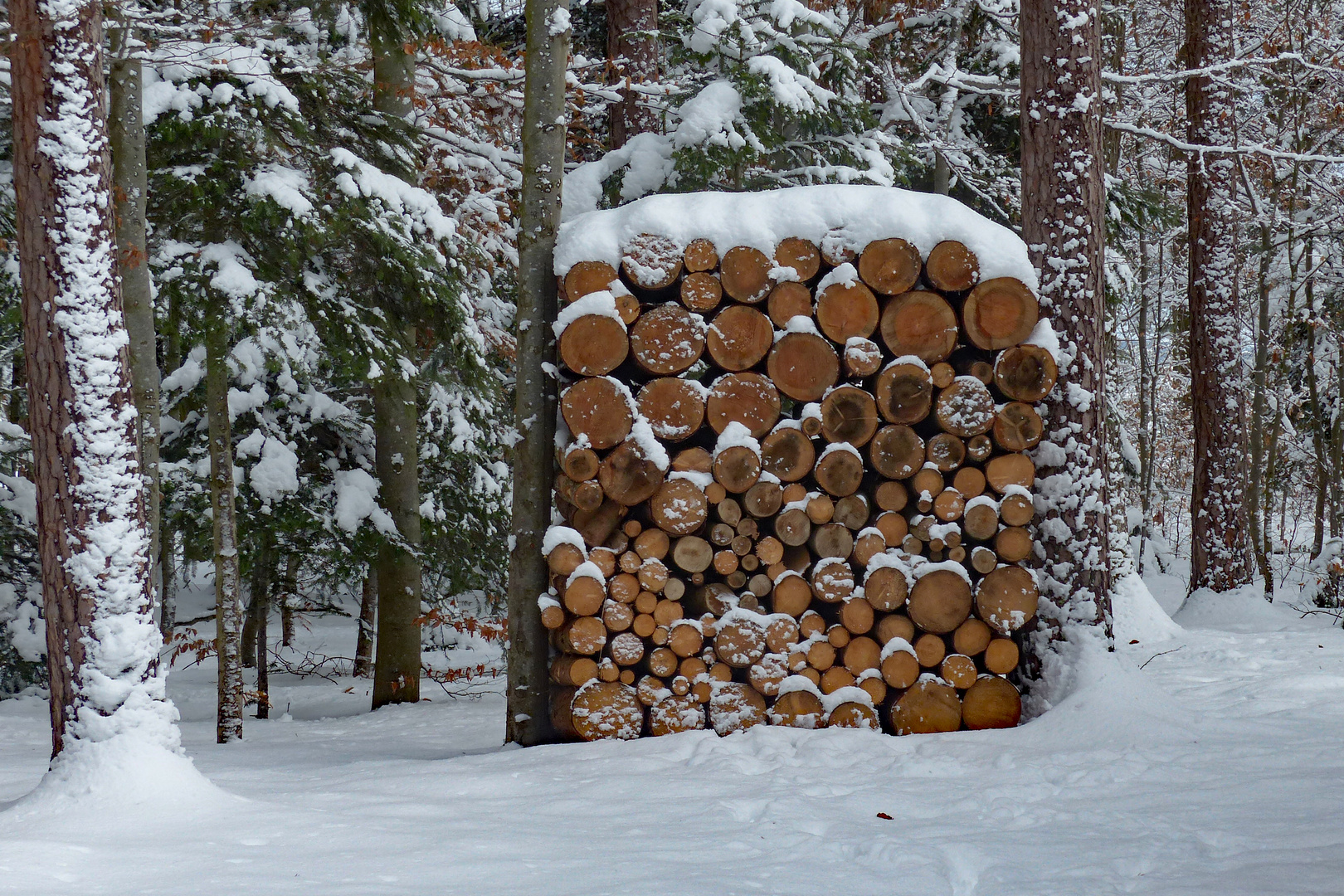 Der nächste Winter kommt bestimmt