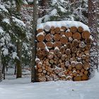 Der nächste Winter kommt bestimmt