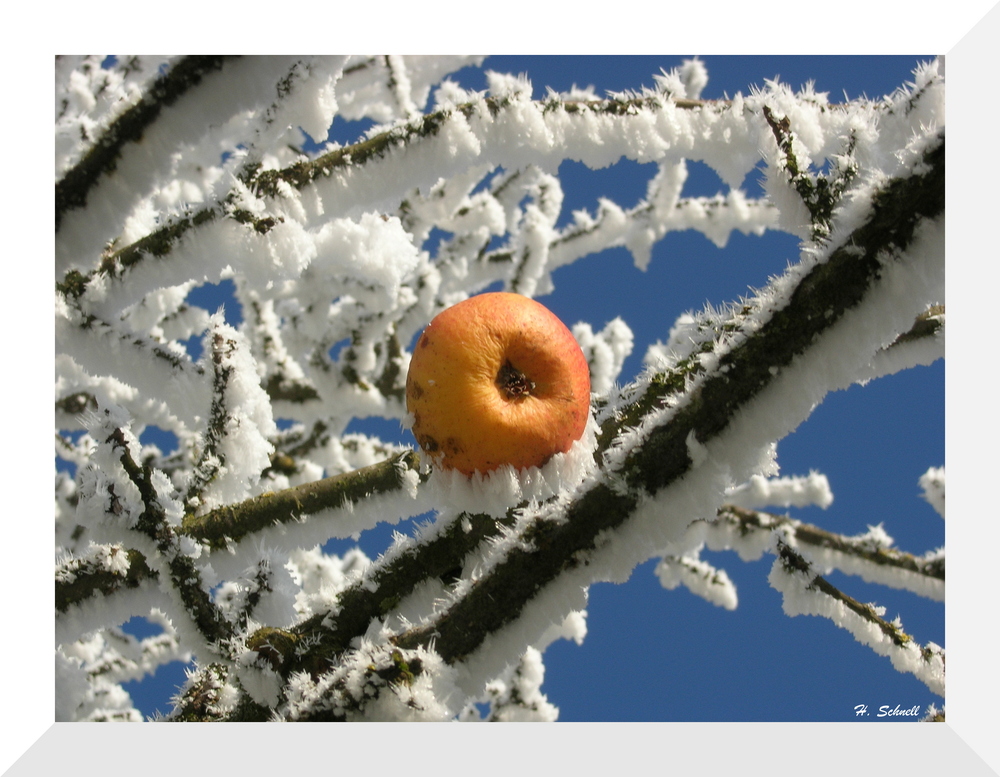 Der nächste Winter kommt bestimmt