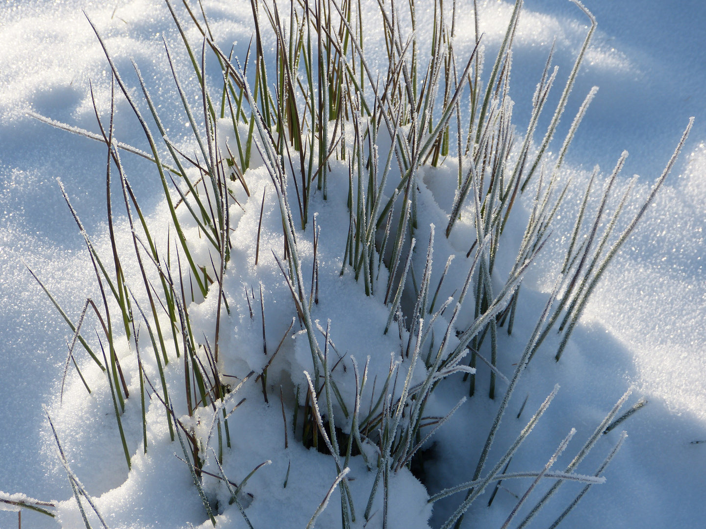 Der nächste Winter kommt bestimmt....