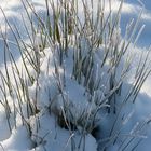 Der nächste Winter kommt bestimmt....