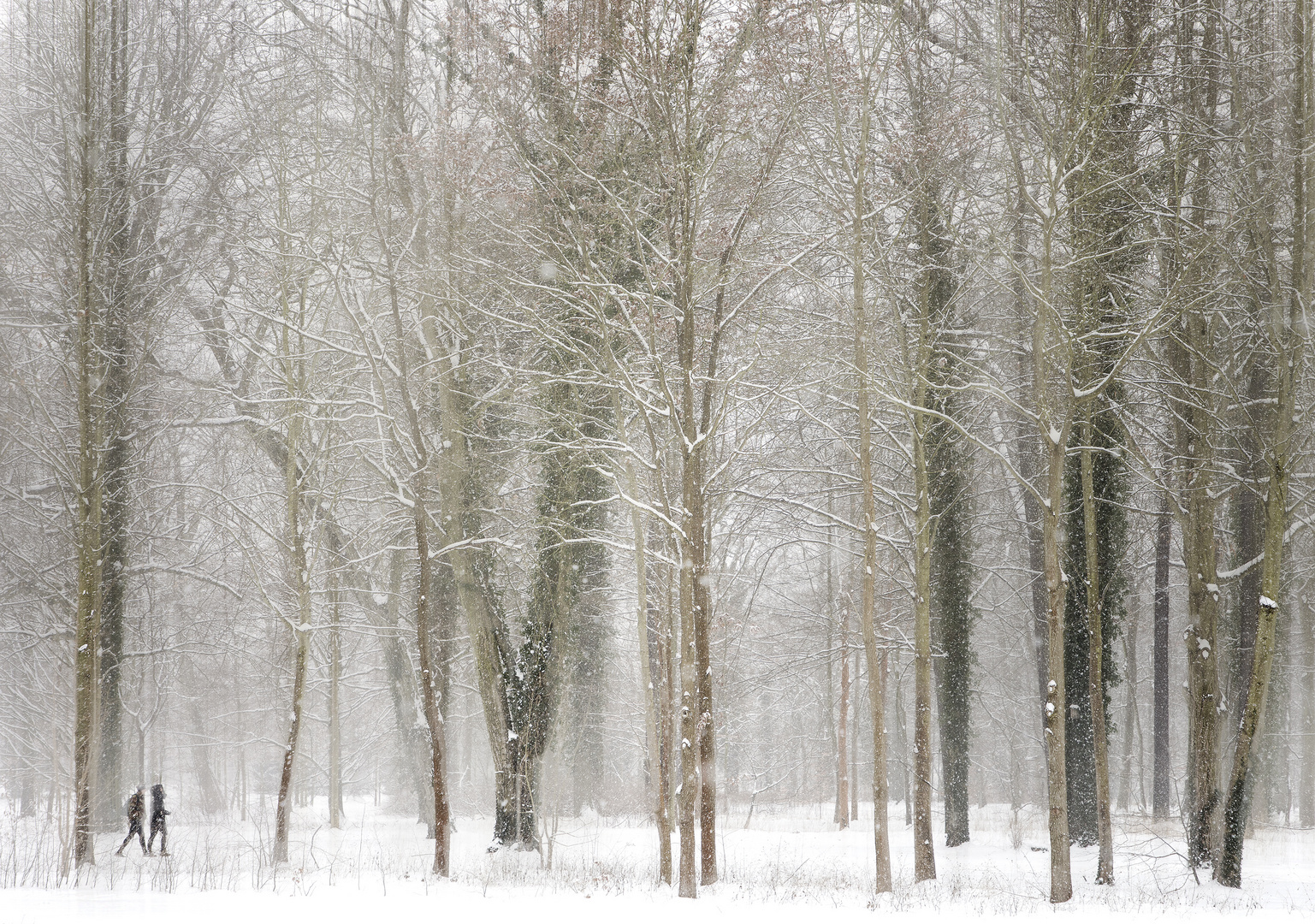 der nächste Winter kommt bestimmt