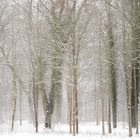 der nächste Winter kommt bestimmt