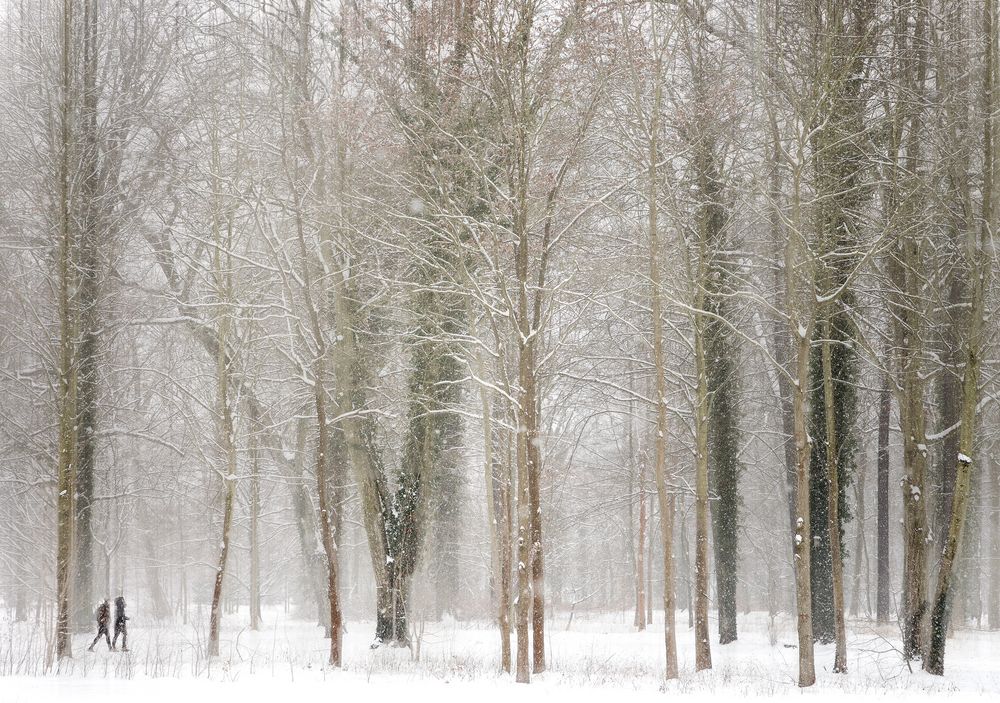 der nächste Winter kommt bestimmt