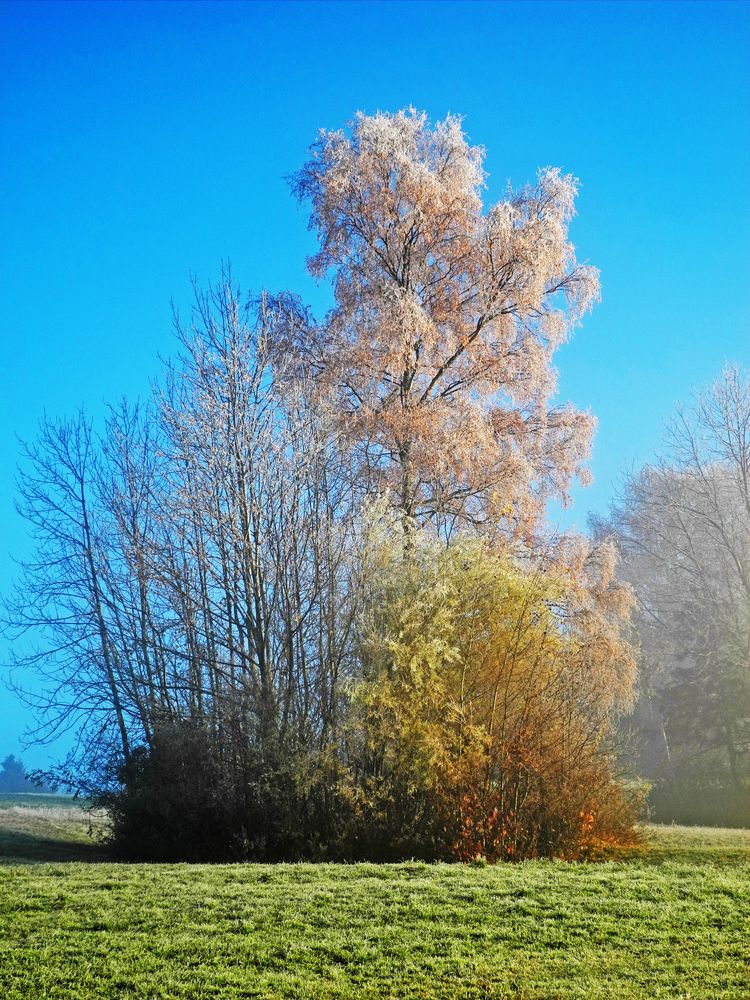 der nächste Winter kommt bestimmt