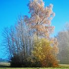 der nächste Winter kommt bestimmt