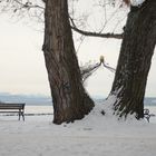 Der nächste Winter kommt bestimmt