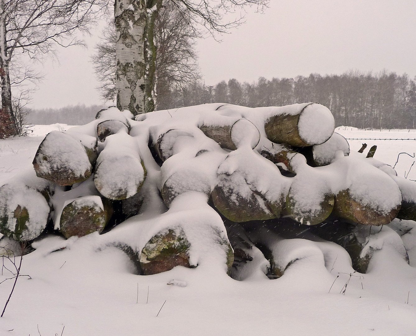 Der nächste Winter kommt bestimmt!