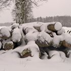 Der nächste Winter kommt bestimmt!