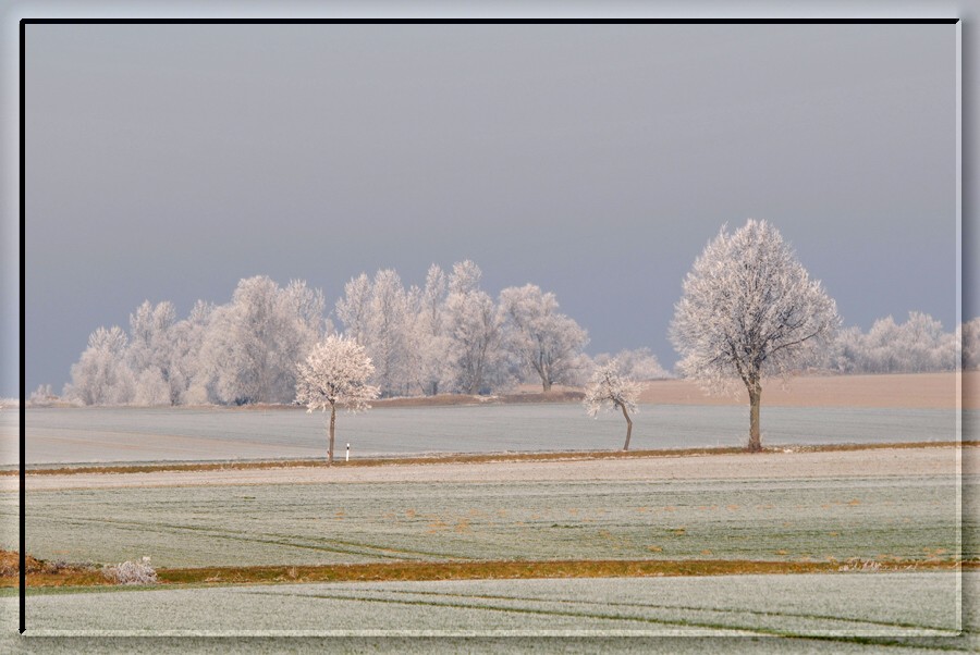 Der nächste Winter kommt bestimmt !