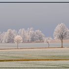 Der nächste Winter kommt bestimmt !