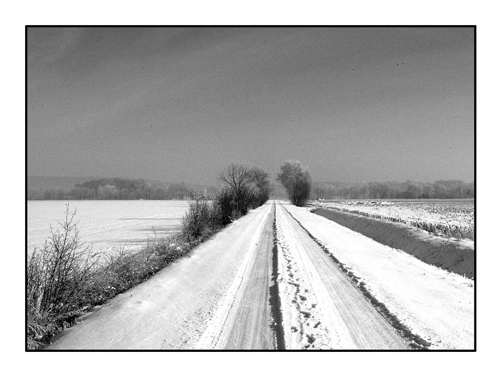 der nächste winter kommt bestimmt....