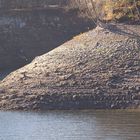 Der nahezu leere Möhnesee: das Südufer am Ende der Delecker Brücke.