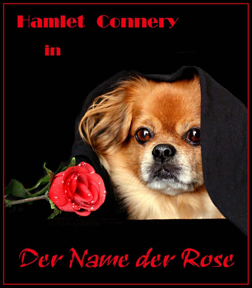 "DER NAME DER ROSE" mit Hamlet Connery