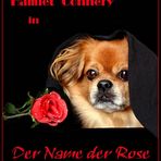 "DER NAME DER ROSE" mit Hamlet Connery