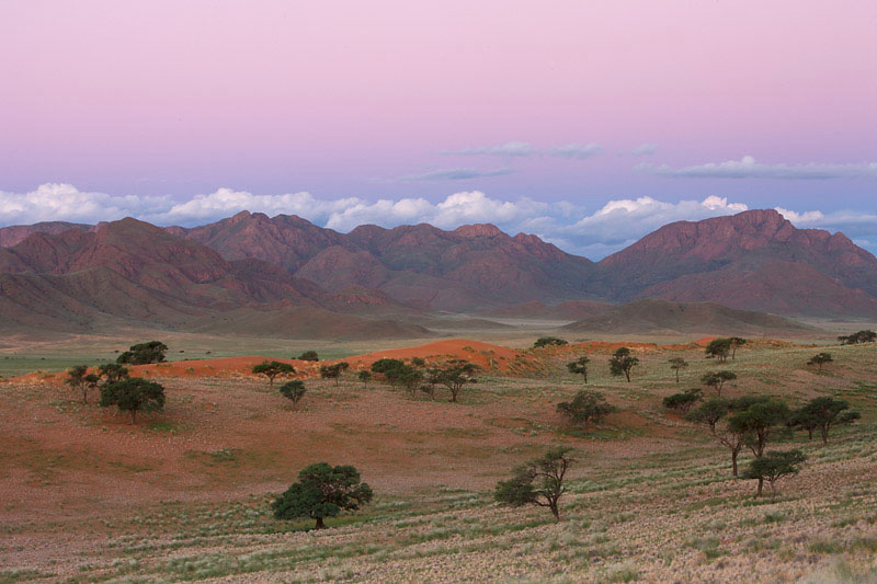 Der Namib Naukluft Park ist ein Schutzgebiet am Rand der Wüste