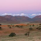 Der Namib Naukluft Park ist ein Schutzgebiet am Rand der Wüste
