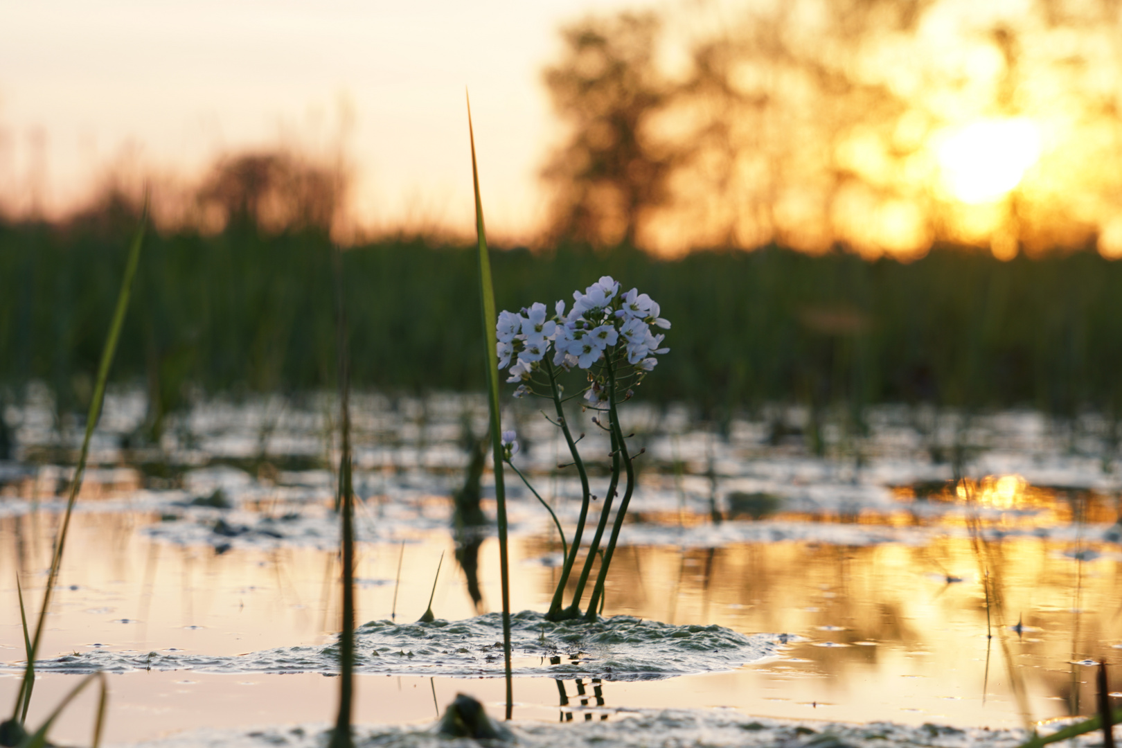 Der nasse Frühling