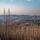 der Nationalpark Harz....