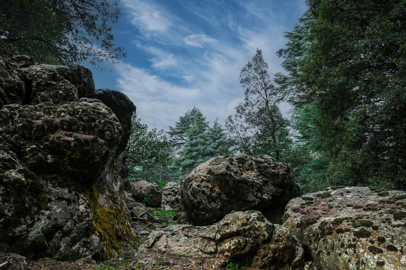 Der Nationalpark Ifrane 08