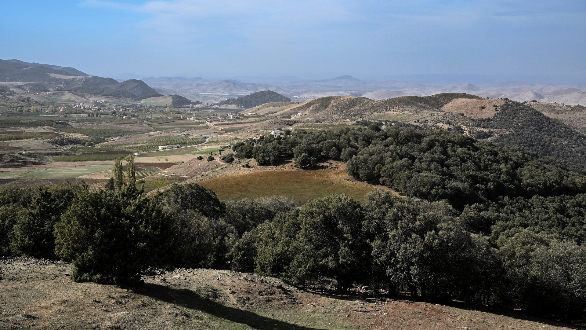 Der Nationalpark Ifrane 11