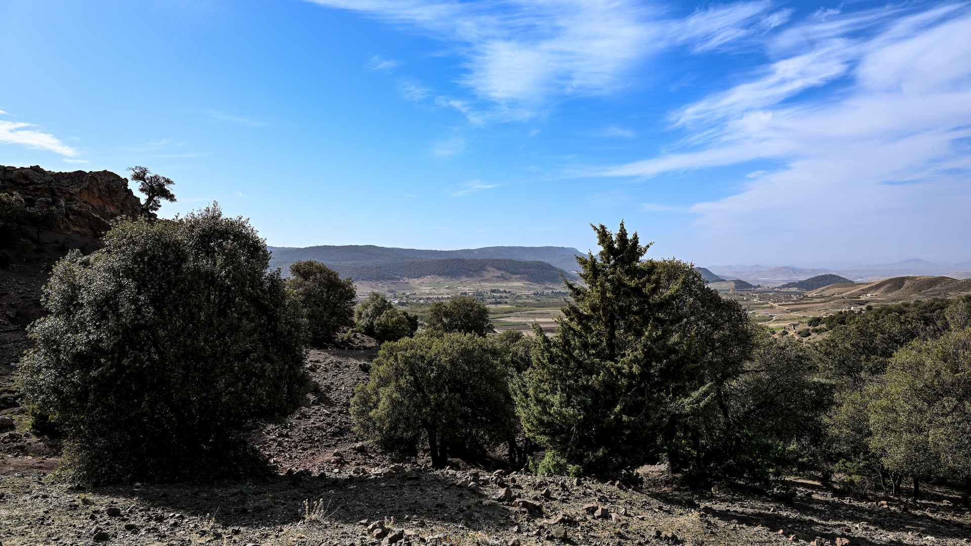 Der Nationalpark Ifrane 12