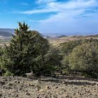 Der Nationalpark Ifrane 13