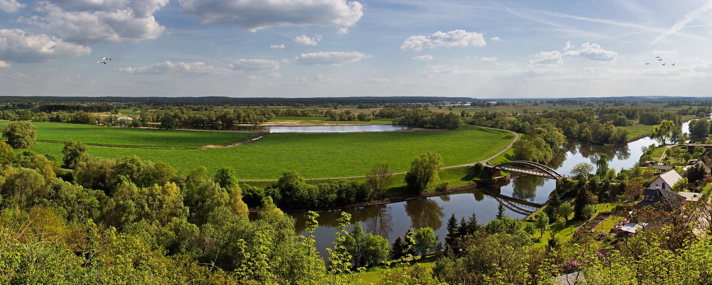 Der Nationalpark Unteres Odertal