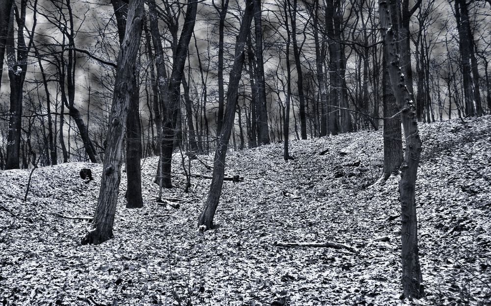 ...der Natur von Uwe Rasch 