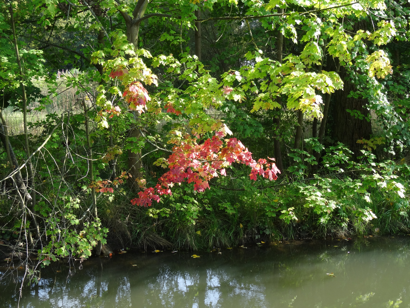 ... der Natur auf der Spur