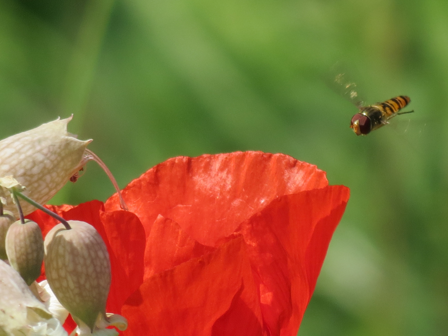 Der Natur auf der Spur