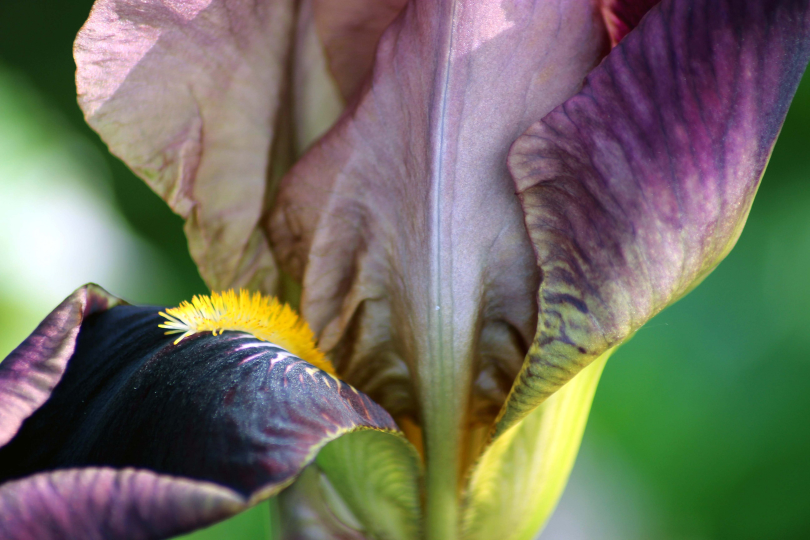 der Natur auf der Spur