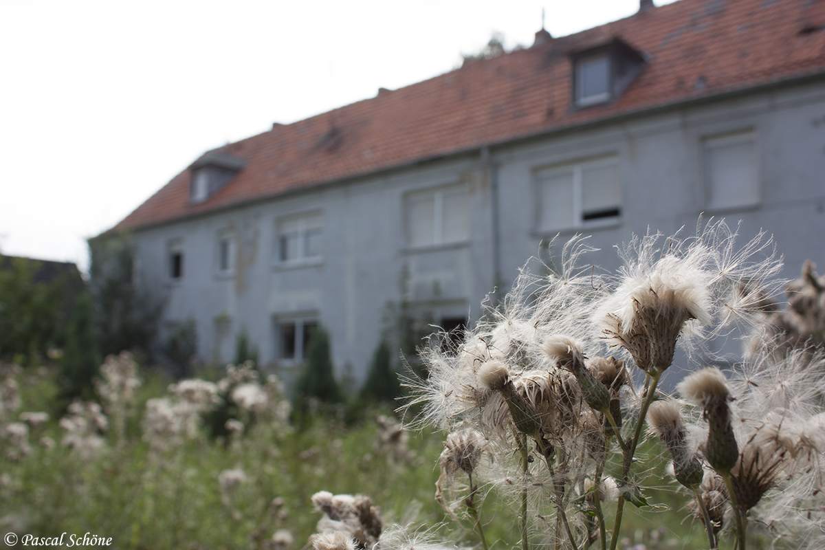 Der Natur freien Lauf