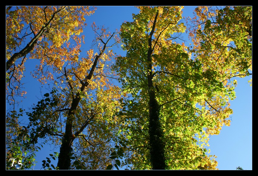 Der Natur sanfte Zeit