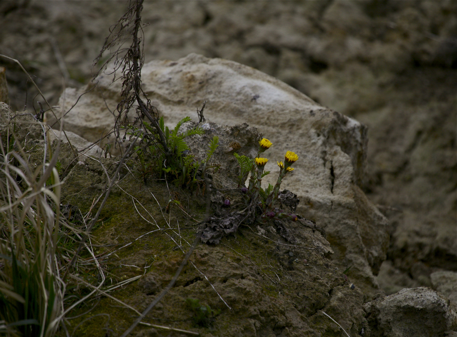 der Natur trotzen......