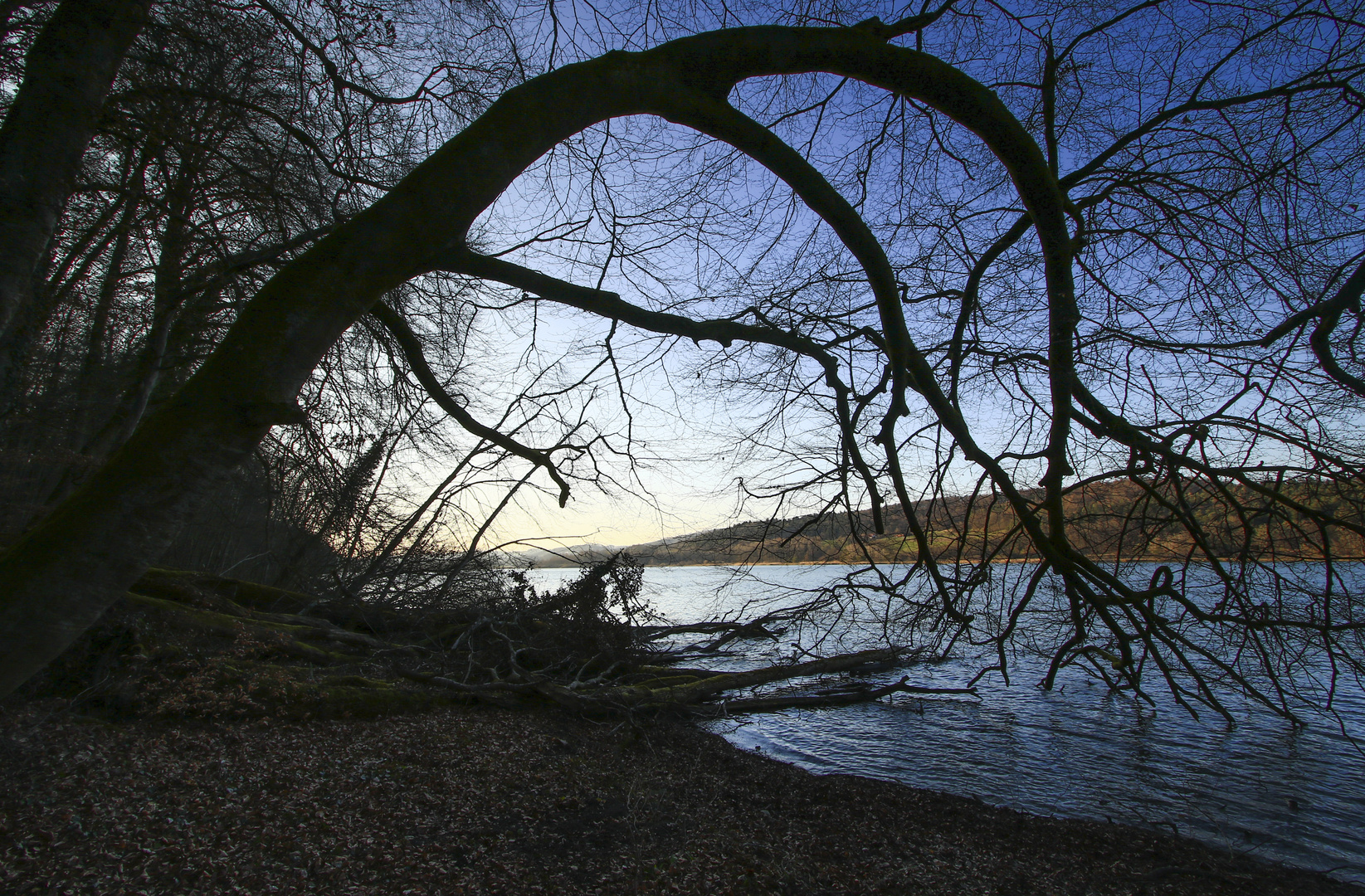 Der Natur überlassen