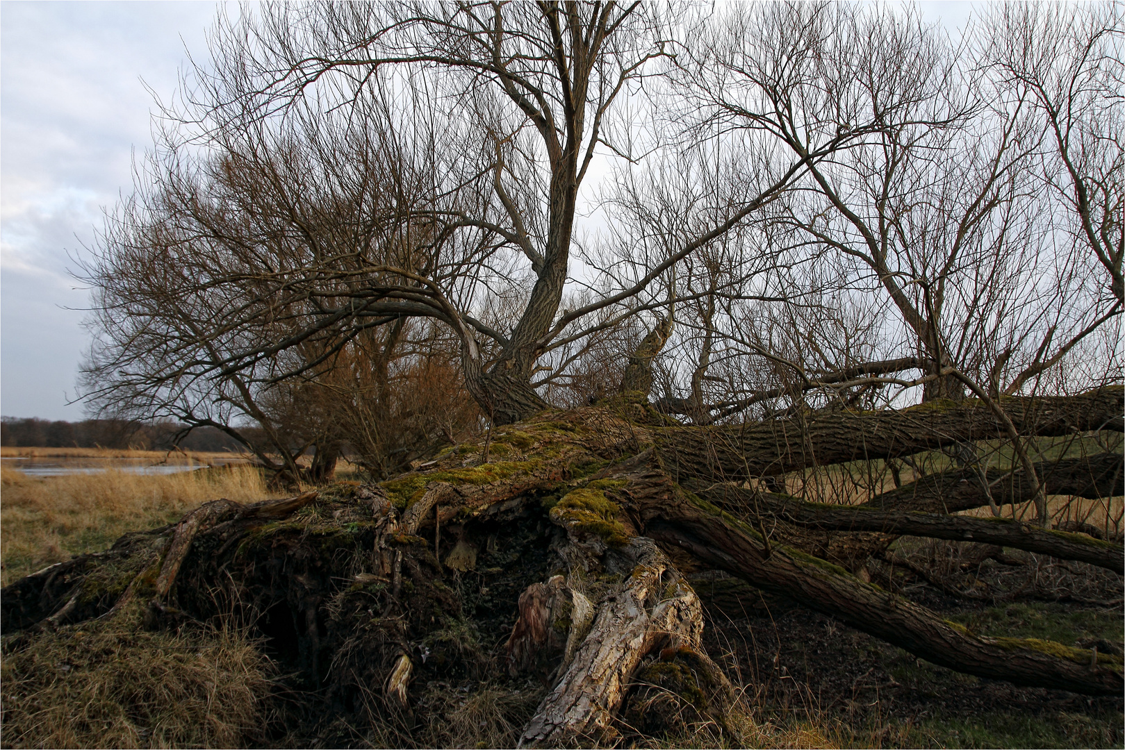 der Natur überlassen