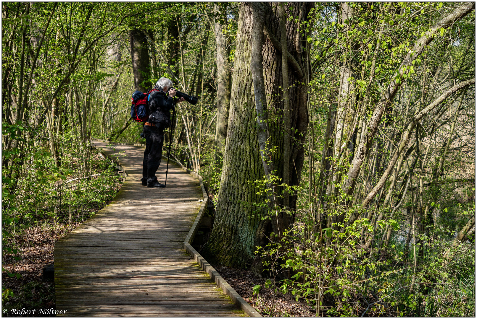 Der Naturfotograf