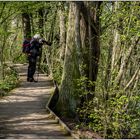 Der Naturfotograf